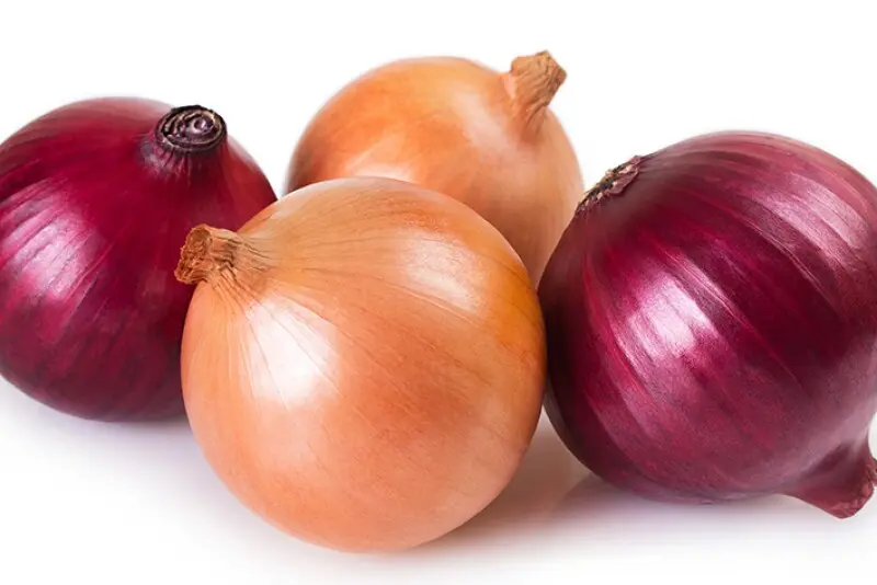 onion