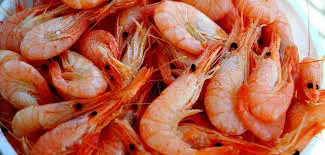 Shrimps